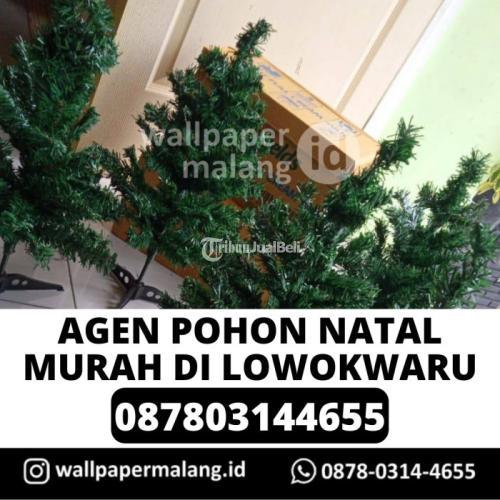AGEN POHON NATAL MURAH DI LOWOKWARU