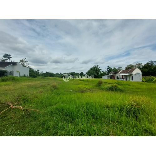 JARANG ADA! JOGLO MEWAH FREE POOL DI JOGJA VIEW SAWAH CANTIK KAWASAN RAMAI