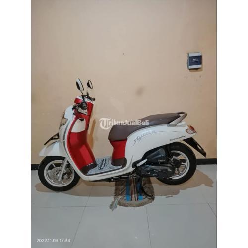 Motor Honda Scoopy Tahun 2019 Bekas Siap Pakai Harga Nego Siap Pakai Di ...