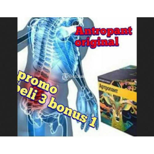 ARTROPANT CREAM ORIGINAL ASLI OBAT TULANG SENDI OTOT KAKU jmggroup.store