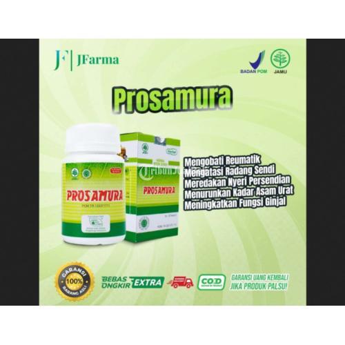 Obat BPOM Rematik, Asam Urat, Nyeri Sendi, Encok Herbal Alami - 1 Pack jmggroup.store