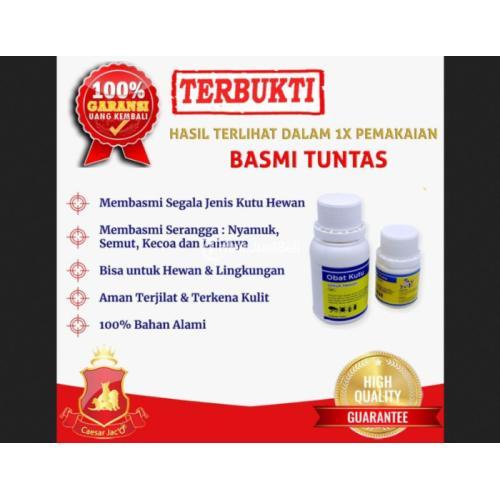 Obat Kutu Cair Alami Ampuh dan Terbukti - Jakarta Pusat