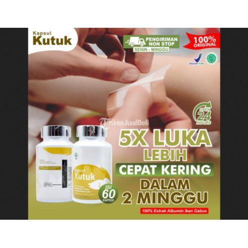 Kapsul Kutuk Premium Asli Albumin Obat Luka Pasca Operasi Di Jakarta