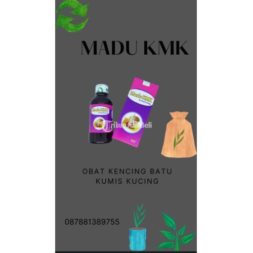 Obat Kencing Batu Kumis Kucing