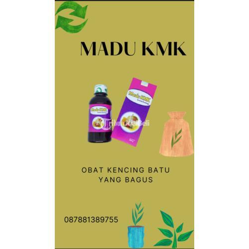 Obat Kencing Batu Yang Bagus