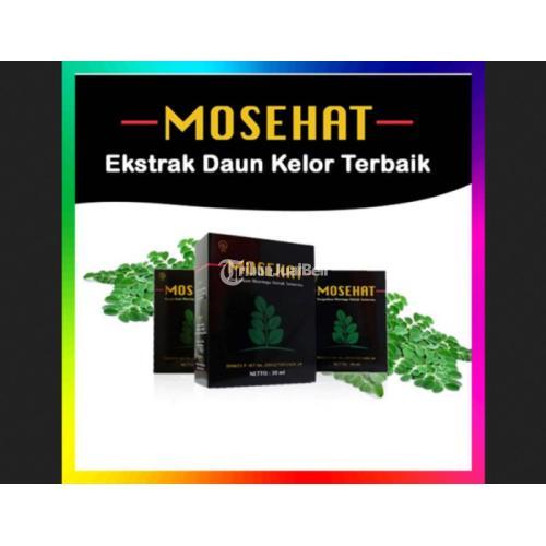 Mosehat Obat Hernia Herbal / Polip Alami / Asam Lambung Berkualitas jmggroup.store