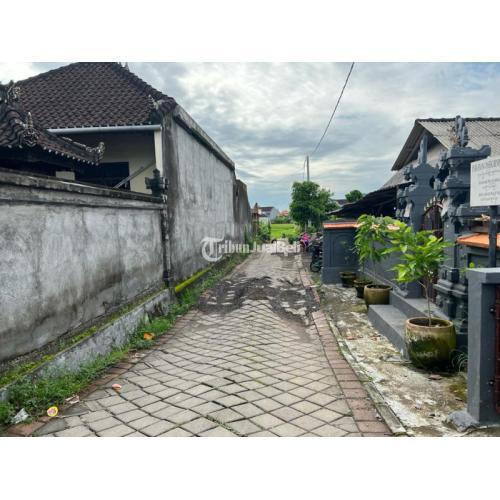 Tanah padonan Canggu Bali