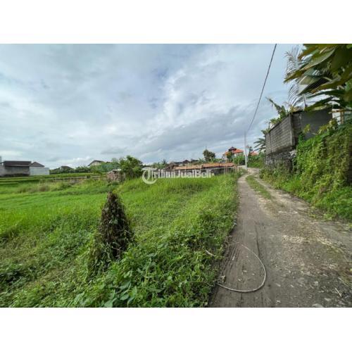 Tanah padonan Canggu Bali