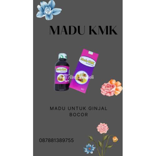 madu untuk ginjal bocor