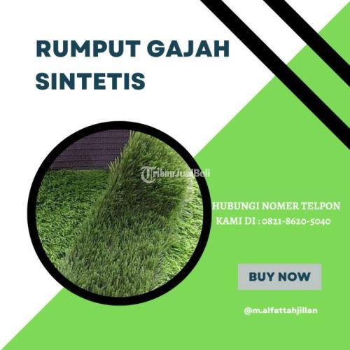 rumput rumputan hias