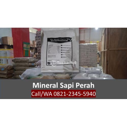 Mineral Sapi Mix Master Premix MH - Mojokerto