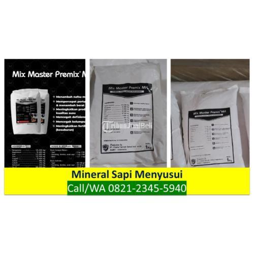 Mineral Sapi Mix Master Premix MH Mojokerto