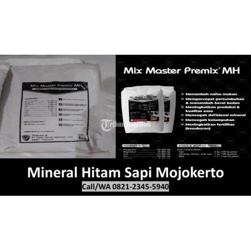 Mineral Sapi Jantan Mojokerto
