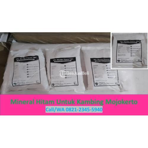 Mineral Sapi Jantan Mojokerto