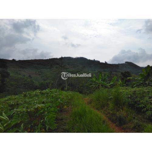 Tanah satu hamparan view bagus, datar di Sukabumi, Jawa Barat (GA20420-CS)