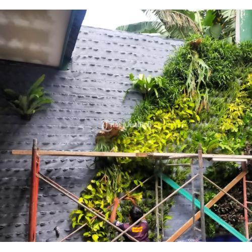 Vertical Garden Tukang Taman Vertikal Profesional