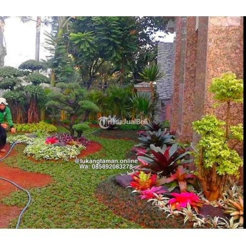 Tukang Taman Sentul Murah Bergaransi