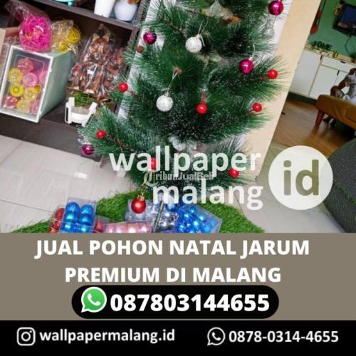 POHON NATAL JARUM PREMIUM DI MALANG