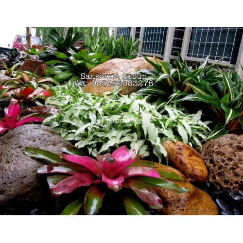 Tukang Taman Cibubur Murah Bergaransi