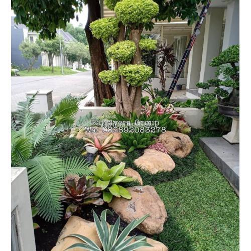 Tukang Taman Cibubur Murah Bergaransi