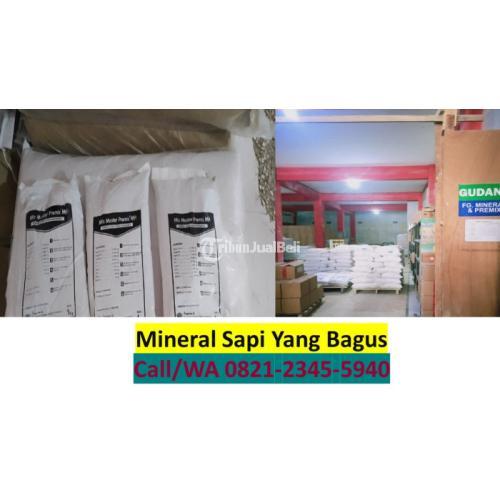 Mineral Hitam untuk Vitamin Sapi - Nganjuk