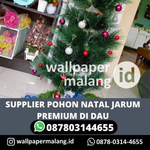 SUPPLIER POHON NATAL JARUM PREMIUM DI DAU