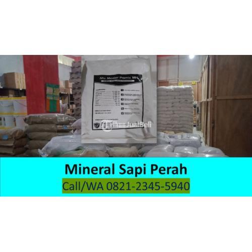 Mineral Hitam Untuk Sapi Magetan