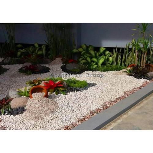 Tukang Taman Bogor Murah Bergaransi