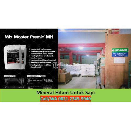 Mineral Untuk Kambing Menyusui Magetan