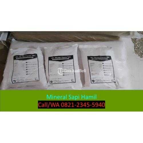 Mineral Sapi Mix Master Premix MH - Malang