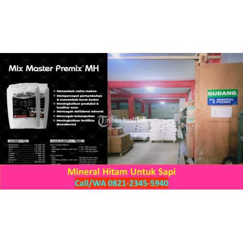 Mineral Kambing Harga Murah TSiap Kirim - Malang