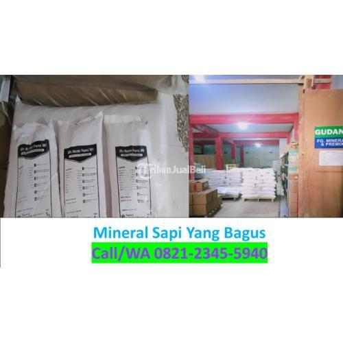 Mineral Kambing Mix Master Premix MH Malang