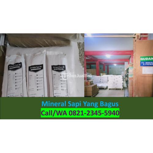 Mineral Domba Malang