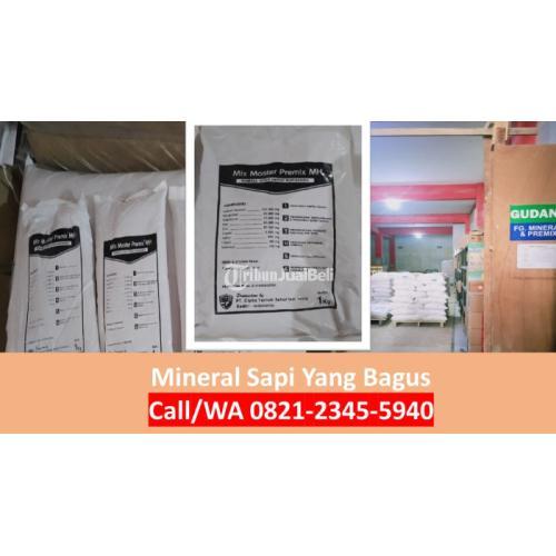 Mineral Sapi Mix Master Premix MH - Situbondo