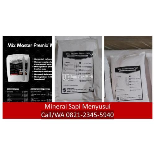 Mineral Sapi Menyusui Situbondo