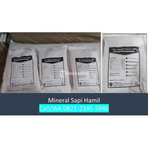 Mineral Sapi Hamil Situbondo