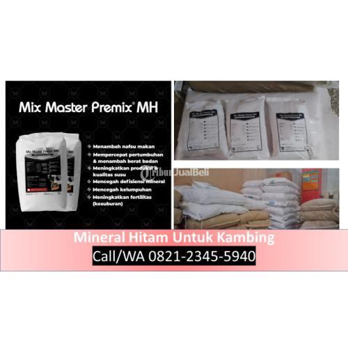 Mineral Sapi Situbondo