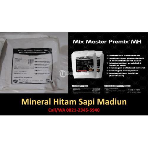 Mineral Sapi Situbondo