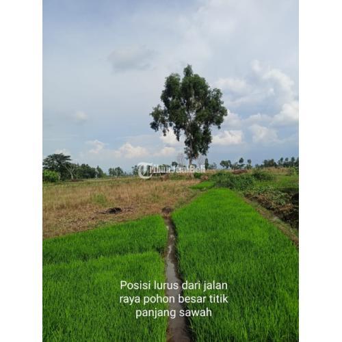 Dijual Tanah Murah Magetan Luas 432 m2 SHM Akses MobiL Simpangan - Magetan