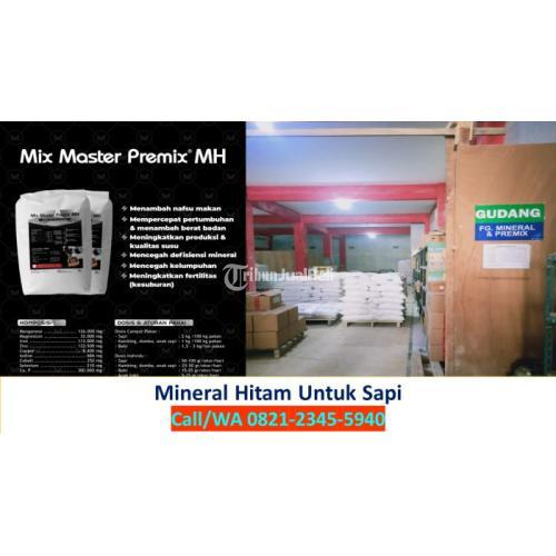 Mineral Sapi Potong Situbondo