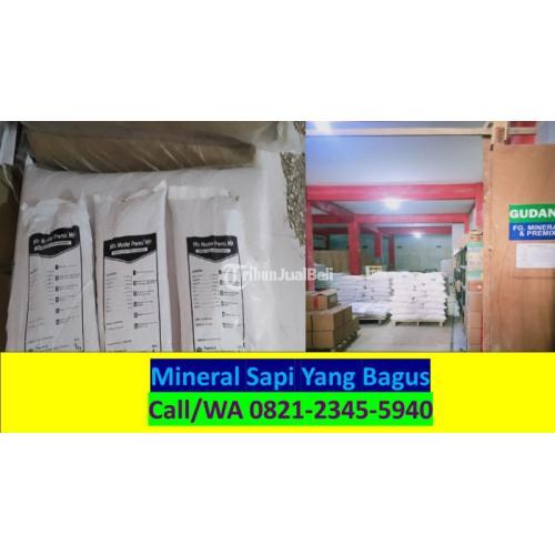 Mineral Untuk Kambing Bunting Situbondo