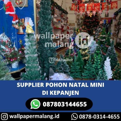 SUPPLIER POHON NATAL MINI DI KEPANJEN
