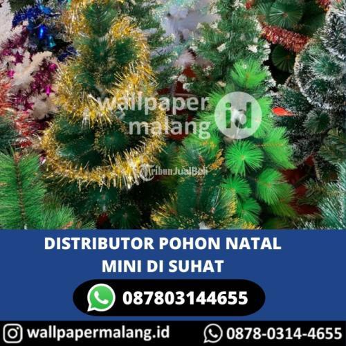 DISTRIBUTOR POHON NATAL MINI DI SUHAT
