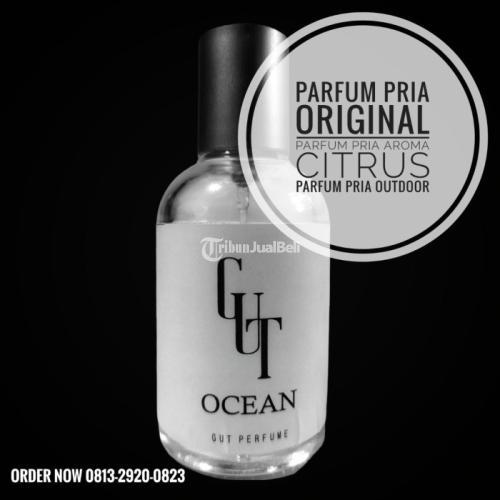 0813-2920-0823 WANGI TAHAN LAMA, Parfum Pria Aroma Citrus Terbaik Kabupaten Teluk Wondama