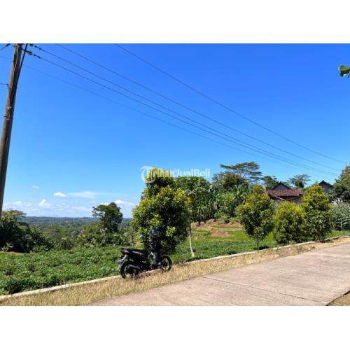 Dijual Tanah Kebun Durian Siap Panen Luas M Di Karanganyar Tribun Jualbeli