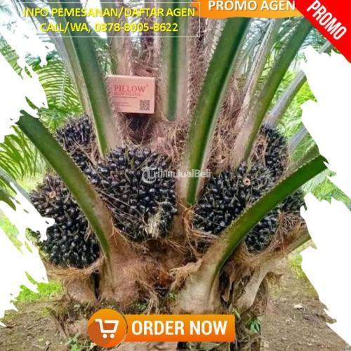 Pupuk Sawit Terbaik Terlaris dan Terbaik - Pekanbaru