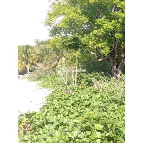 Tanah los pantai Jelenga dkt Myamo Beach Lodge Sumbawa Barat NTB