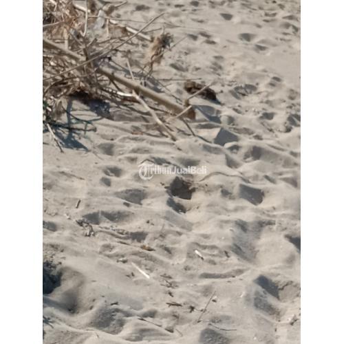 Tanah los pantai Jelenga dkt Myamo Beach Lodge Sumbawa Barat NTB