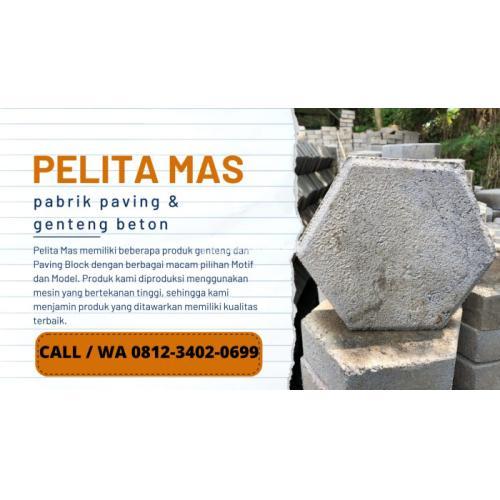 Supplier paving block segi enam - Sukun