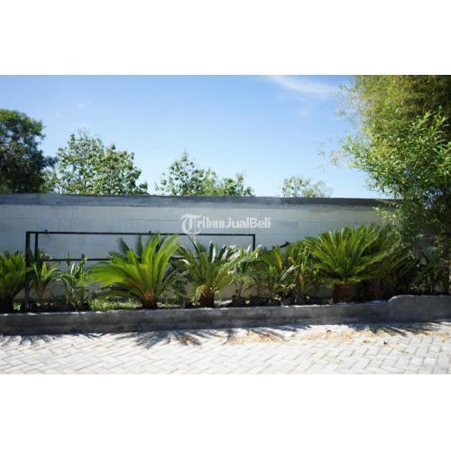 RUMAH MURAH DENGAN HARGA PROMO DI KOTA WONOSARI